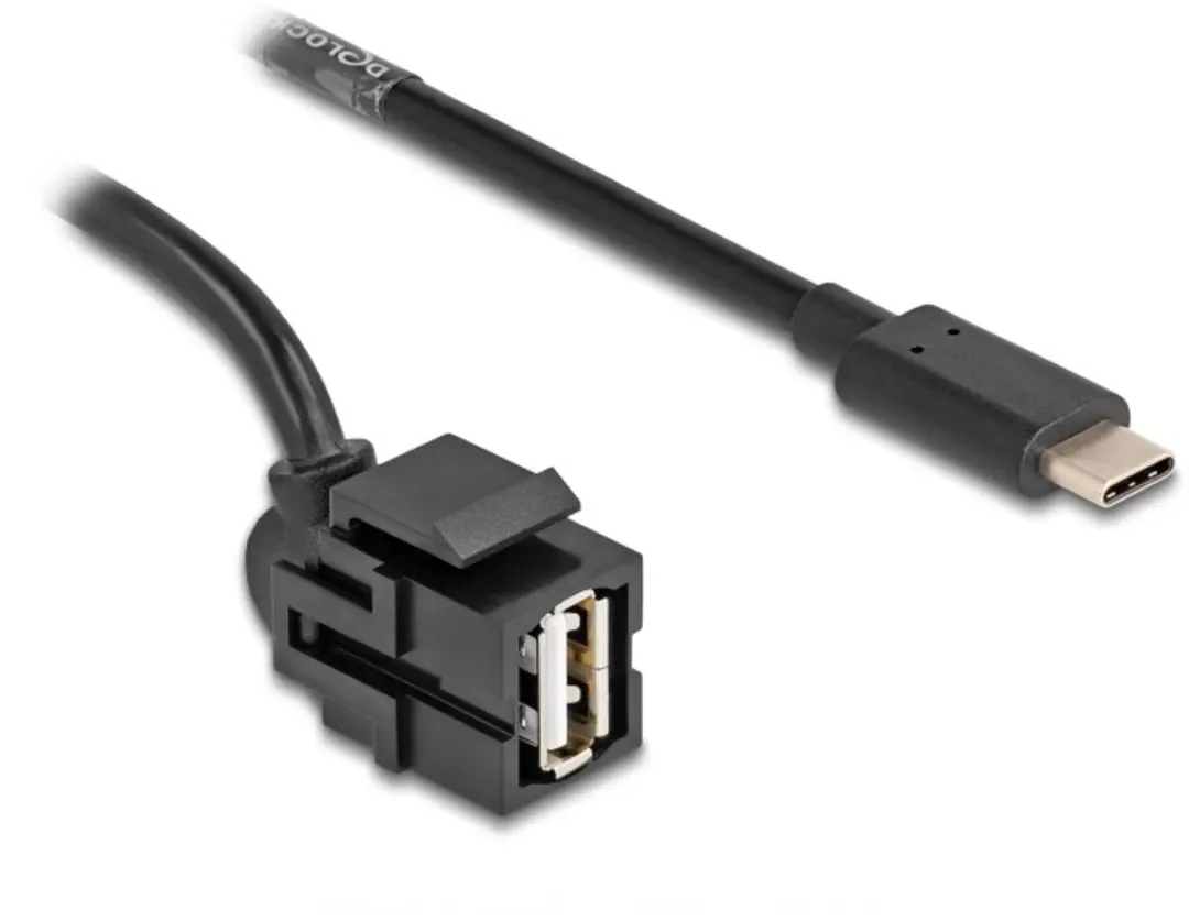 Delock USB-A Haaks Keystone Module USB-C 1,5m