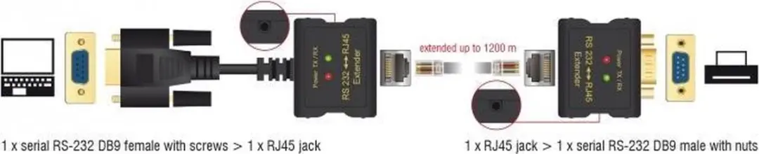 Delock Extender RS-232 DB9 RJ45 - 2 Stuks - Zwart