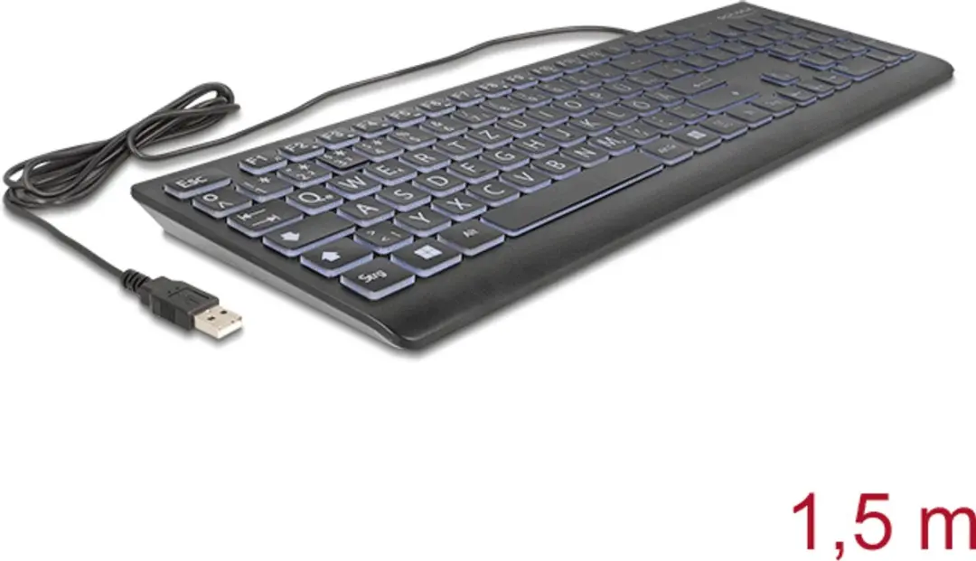 Delock USB Toetsenbord 12170 - Zwart - Illuminatie