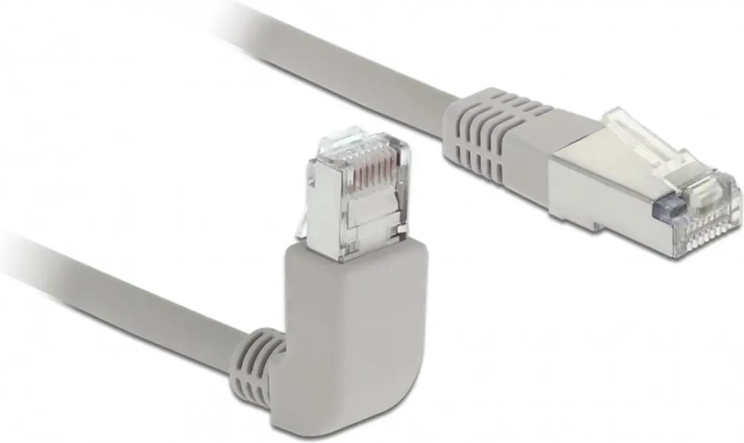 Delock S/FTP CAT6a Netwerkkabel 10Gbps - 1m - Grijs