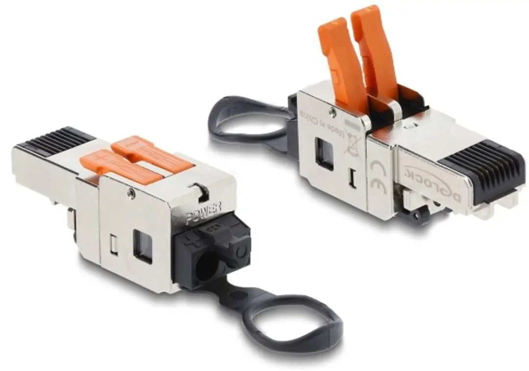 Delock RJ45 Plug met Clamp Lock 2 Pin