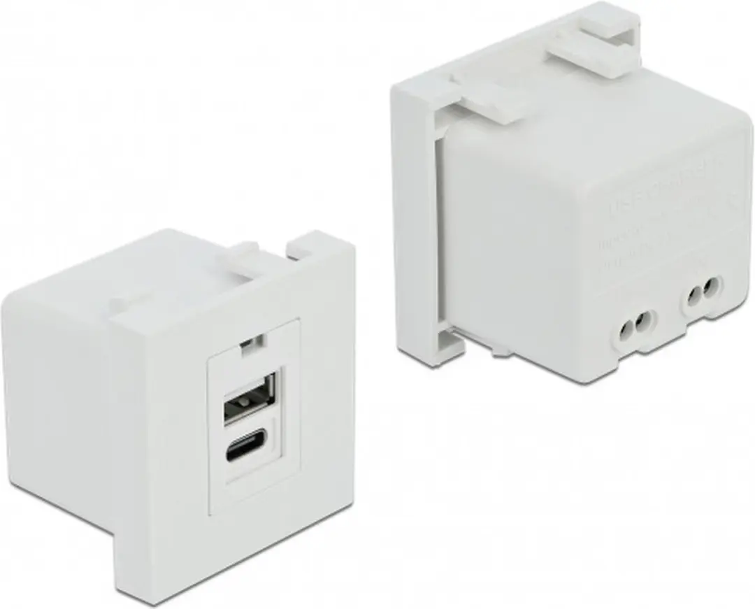 Delock Easy 45 USB Oplaadpoortmodule - 1x Type-A + 1x Type-C - Wit