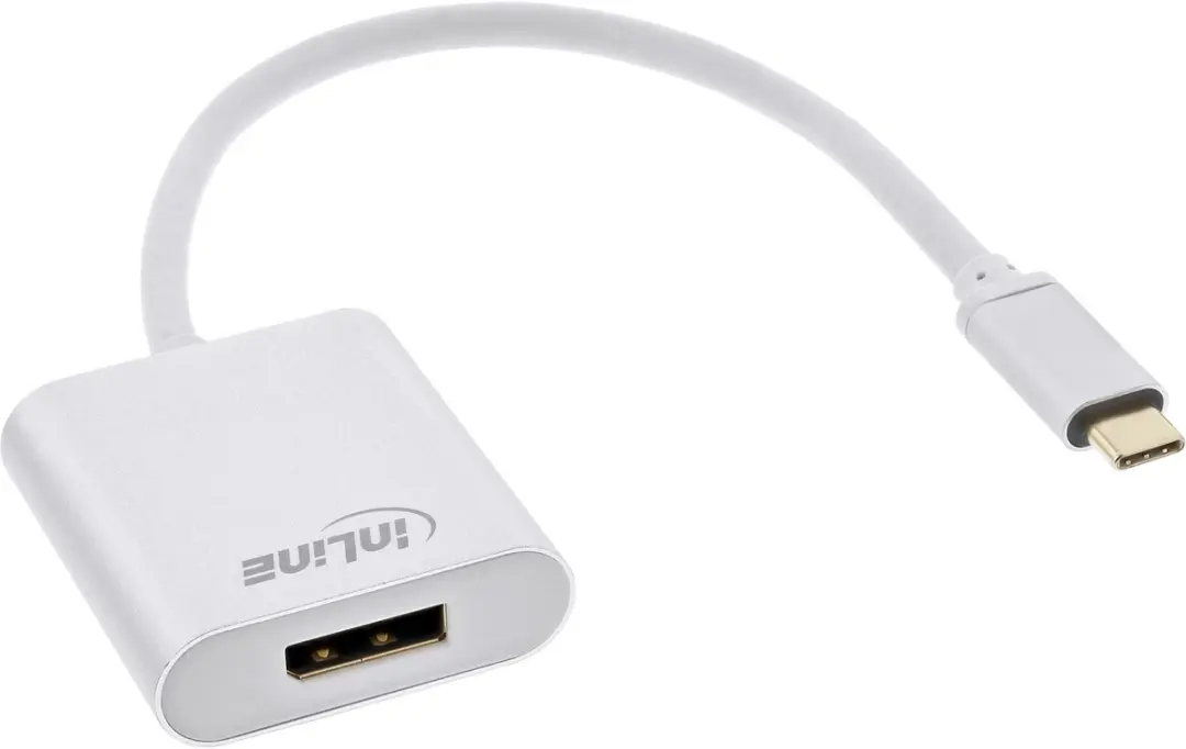 InLine USB-C naar DisplayPort 4K Converter 64102S