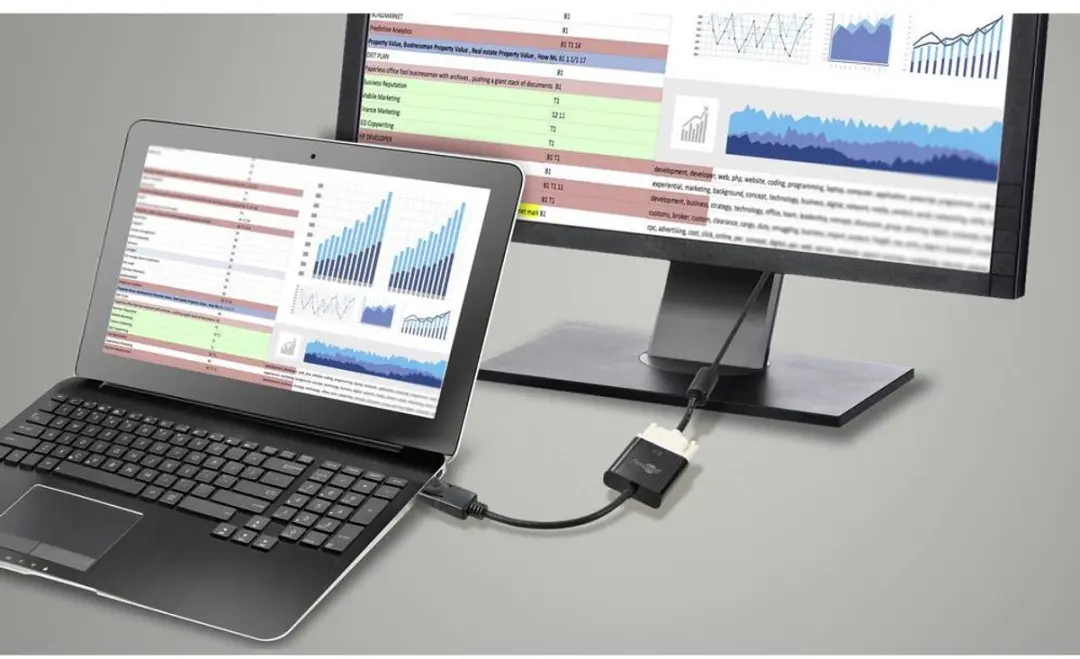 Goobay DisplayPort naar DVI Adapter DP1.2 - 0,15m - Zwart