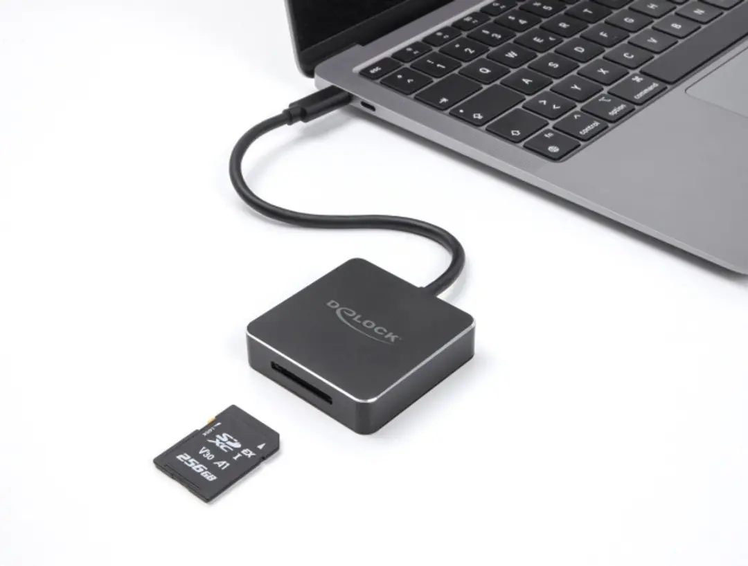 Delock USB-C Kaartlezer SD Express 91019 - Zwart