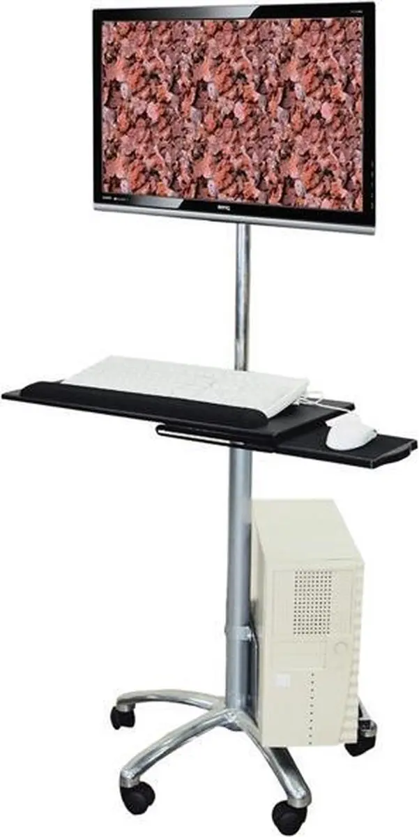 Value PC/LCD Rolstandaard - Zilver
