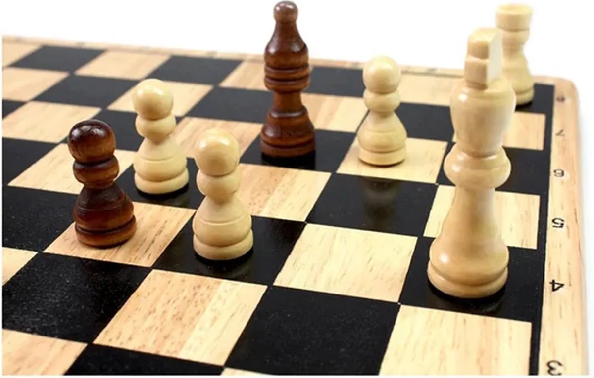 Tactic Schaken Hout 14001 - 2 Spelers
