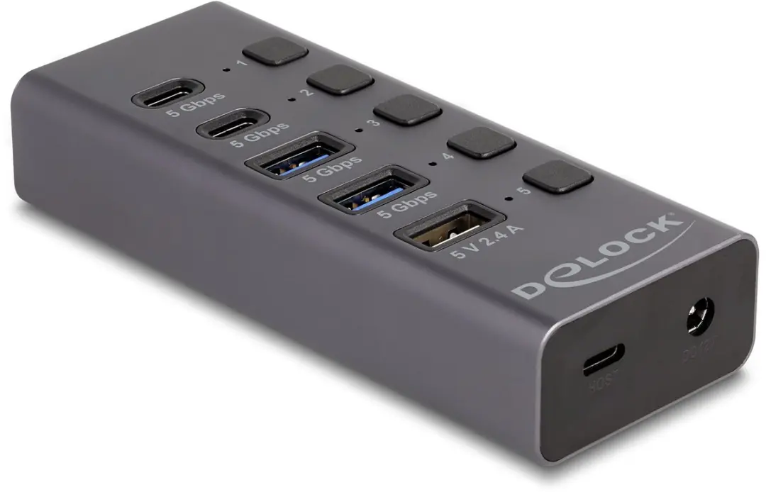 Delock 64248 USB 5Gbps Hub