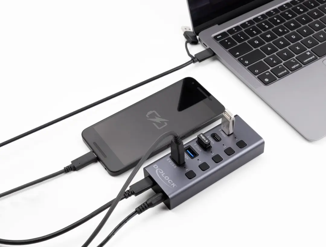Delock 64248 USB 5Gbps Hub - 2x USB-A 2x USB-C + Snelladen - Grijs
