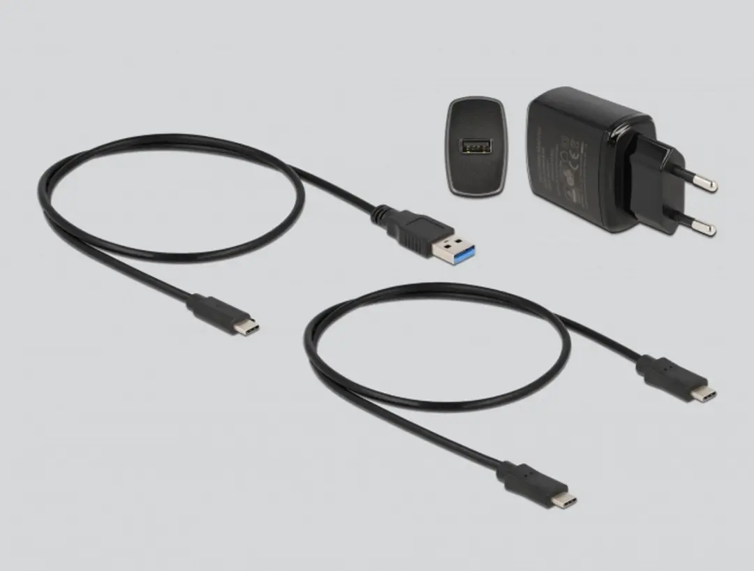 Delock M.2 Docking Station 64178 - 2x M.2 SATA SSD - Zwart - afbeelding 6 van 6