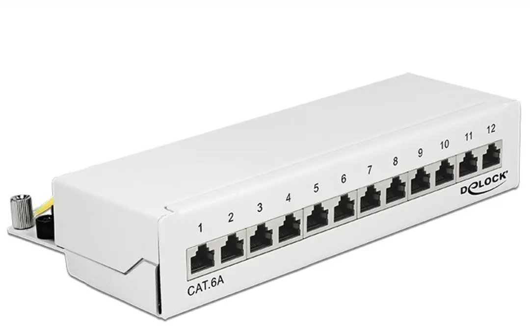 Delock CAT6a Patch Panel 12 Poorten