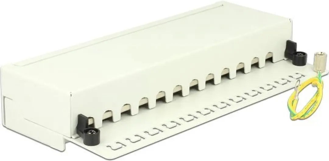 Delock CAT6a Patch Panel 12 Poorten - Wit