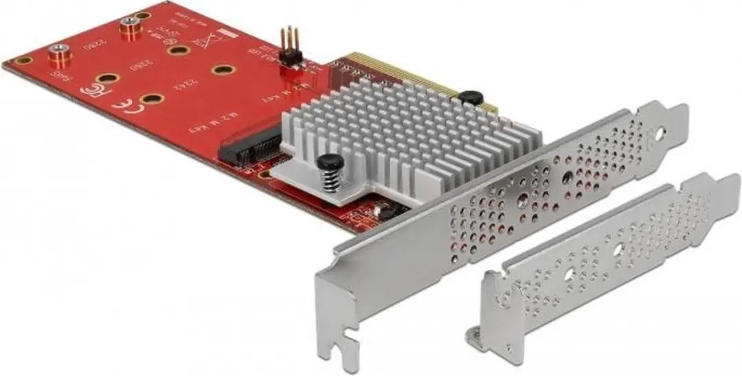 Delock PCIe x8 Kaart 2x M.2 NVMe Key M - Low Profile