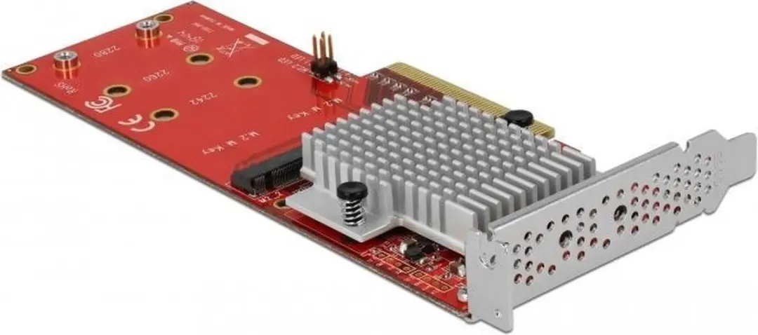 Delock PCIe x8 Kaart 2x M.2 NVMe Key M - Low Profile