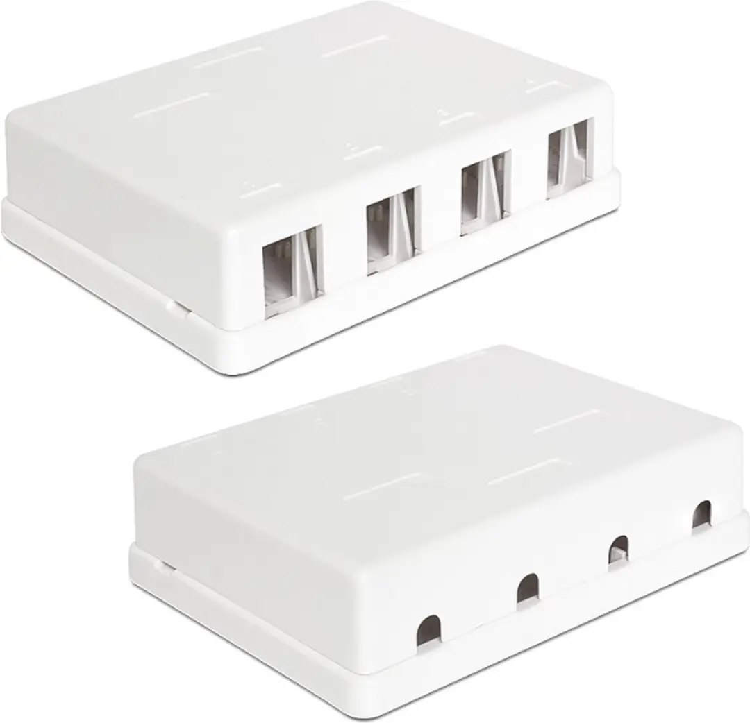 Delock Uitvoerdoos 4x Keystone Modules - wit