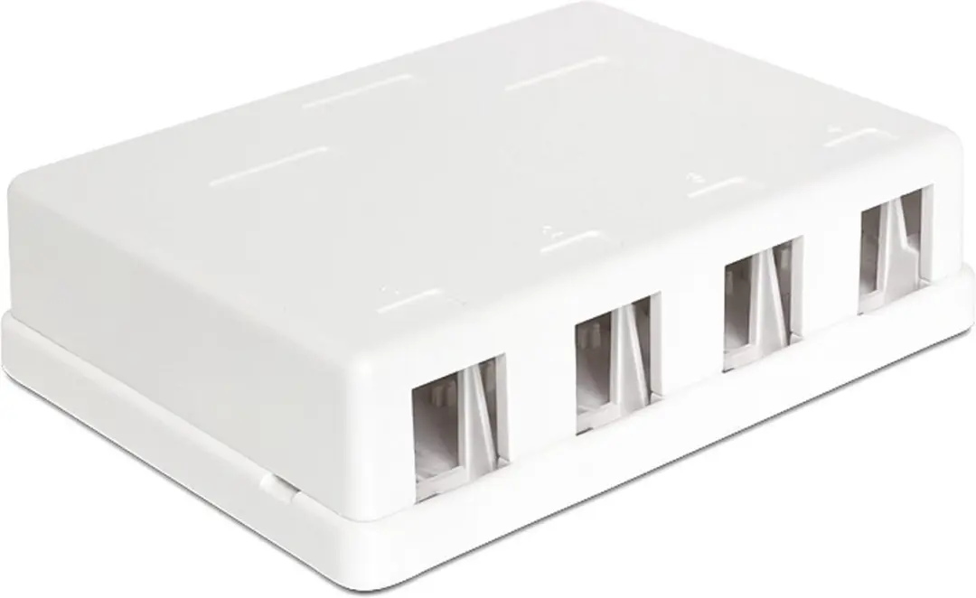 Delock Uitvoerdoos 4x Keystone Modules