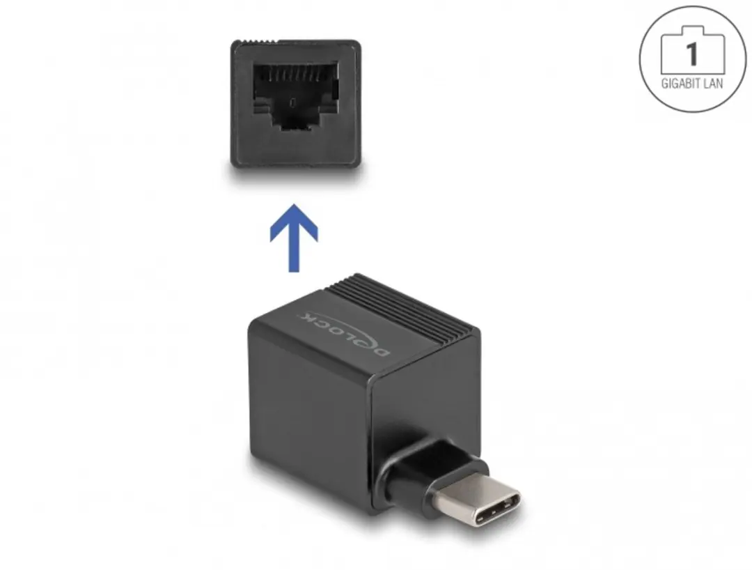 Delock USB-C naar Gigabit LAN Adapter - Zwart