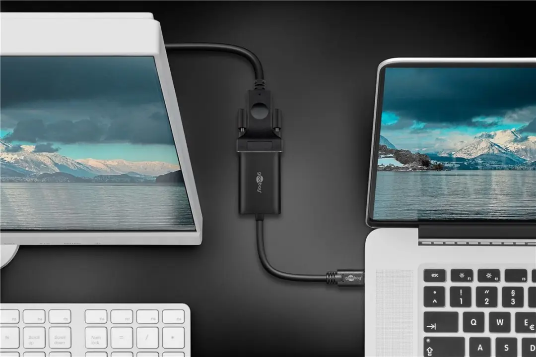 Goobay USB-C naar VGA Adapter - Zwart