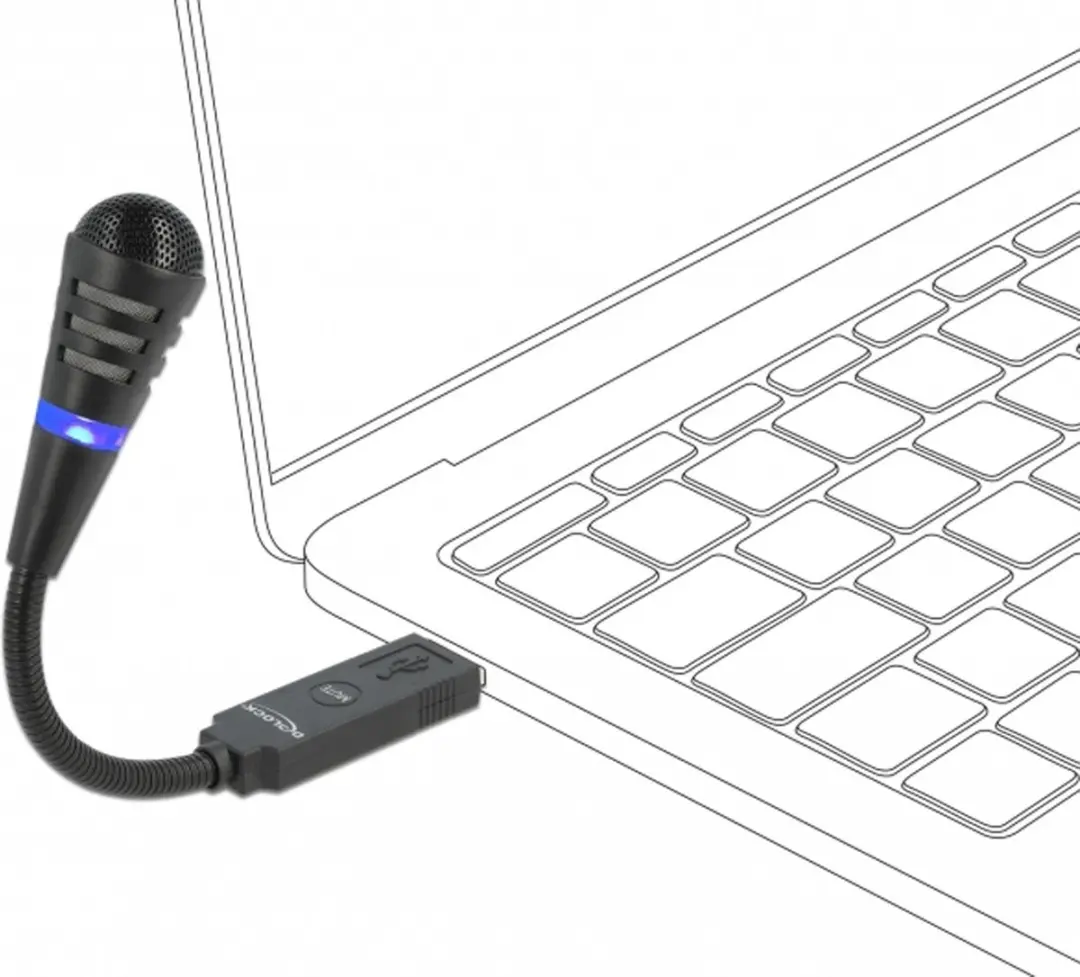 Delock USB Microfoon met Gooseneck - Zwart