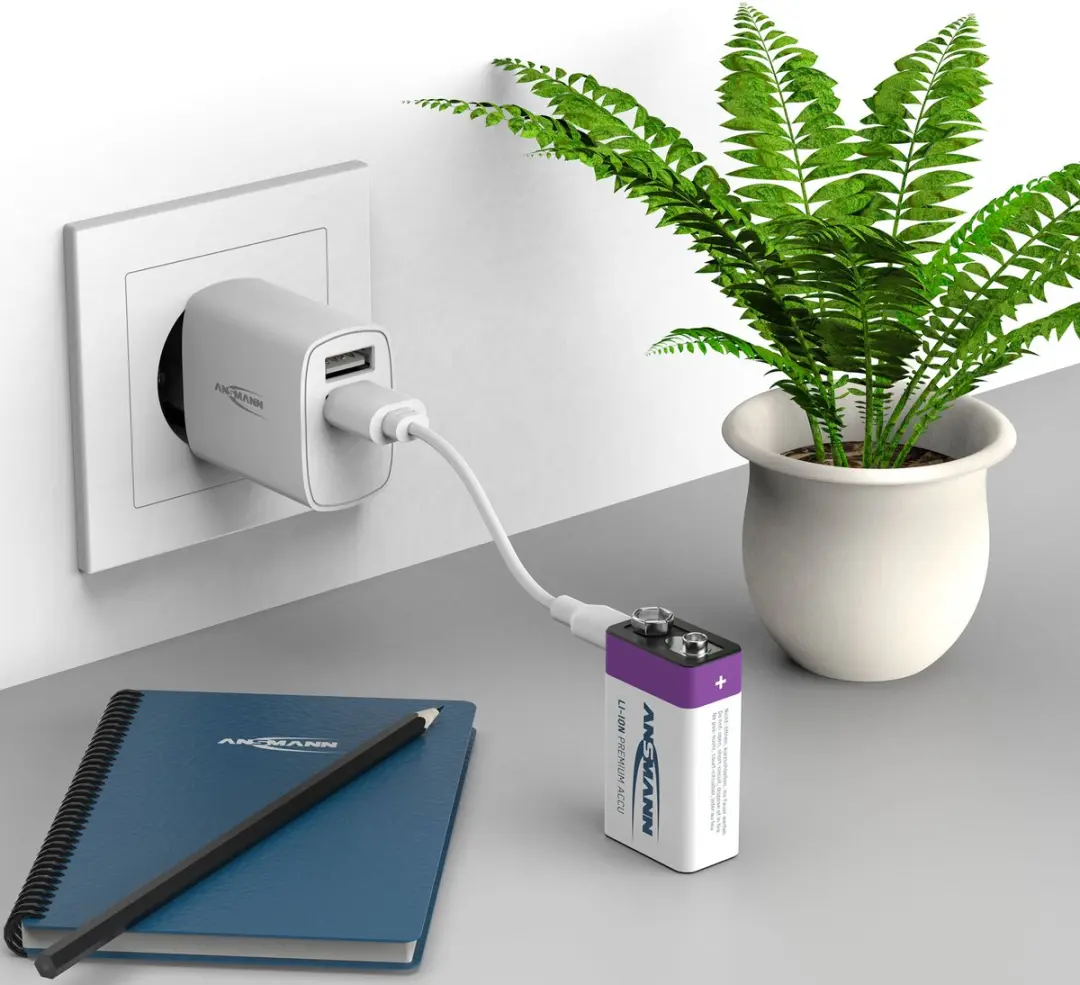Ansmann Oplaadbaar Batterij 9-voudig USB-C - Paars - afbeelding 6 van 6