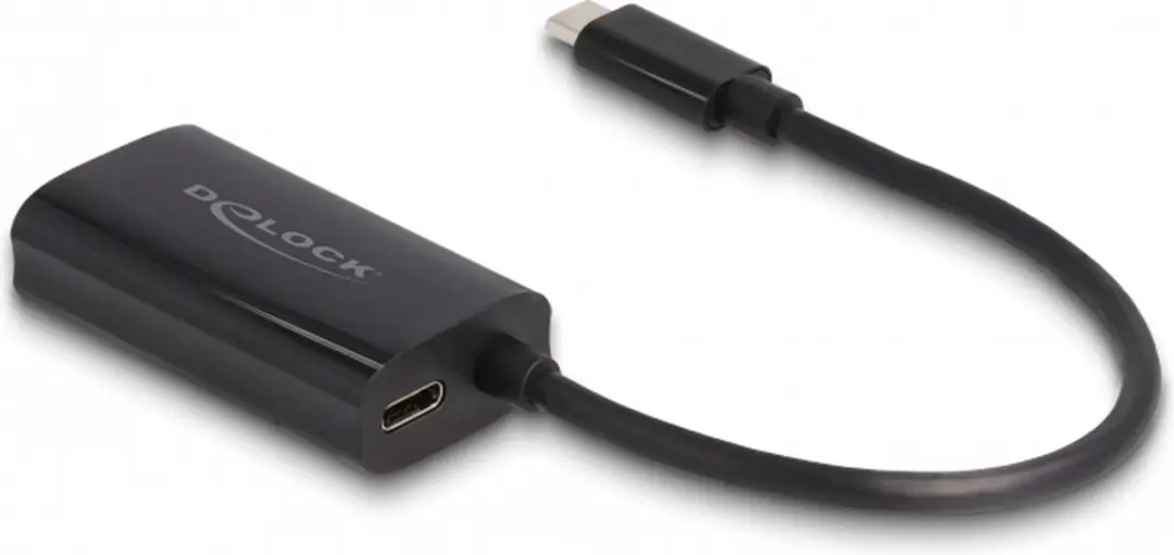 Delock USB-C naar Gigabit LAN Adapter 100W - Zwart