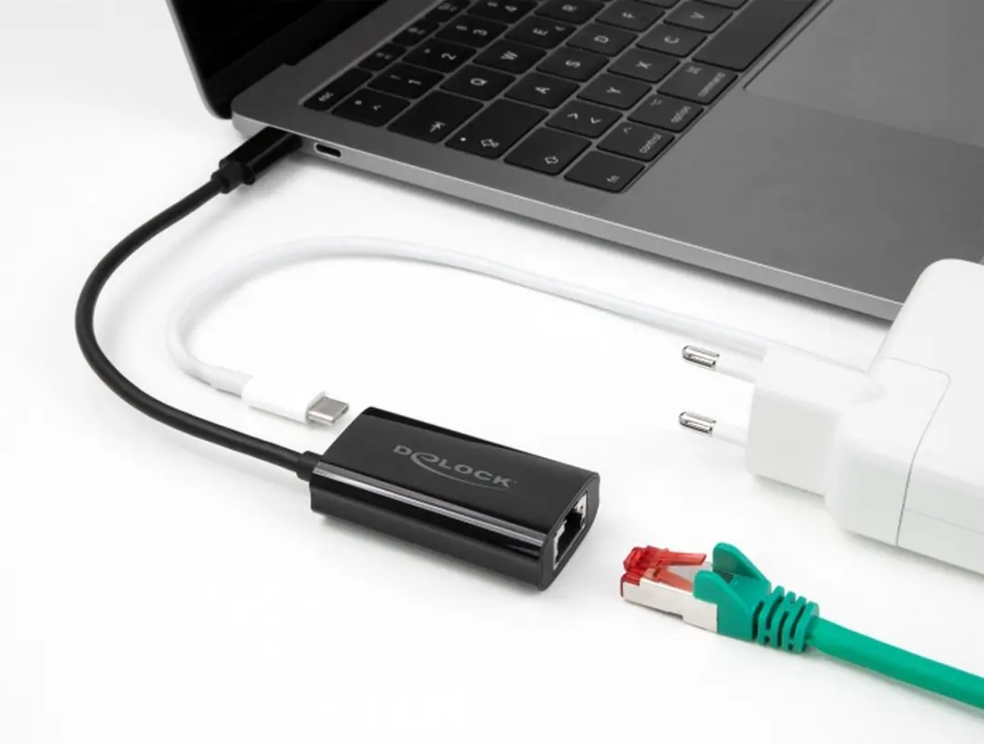 Delock USB-C naar Gigabit LAN Adapter 100W - Zwart