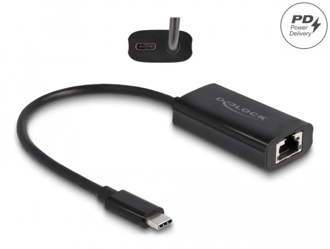 Delock USB-C naar Gigabit LAN Adapter 100W