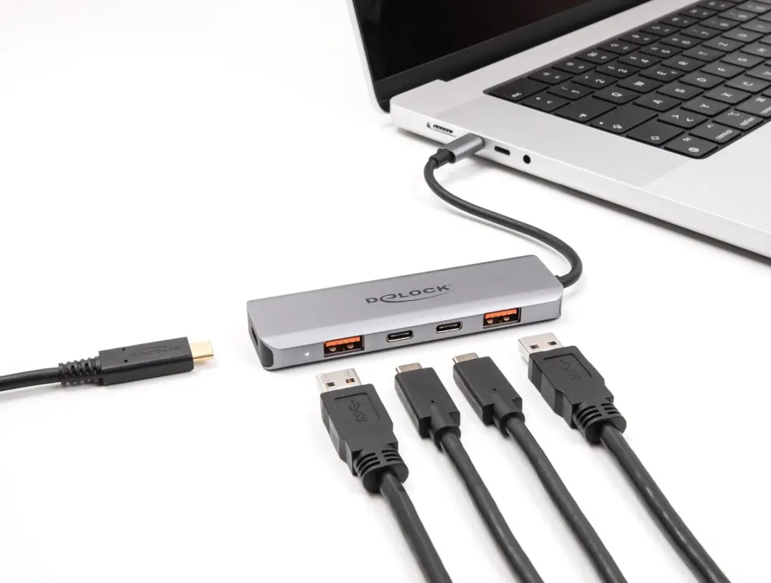 Delock 64302 USB Hub 10 Gbps - 2x USB-A + 2x USB-C - 95W PD - Grijs