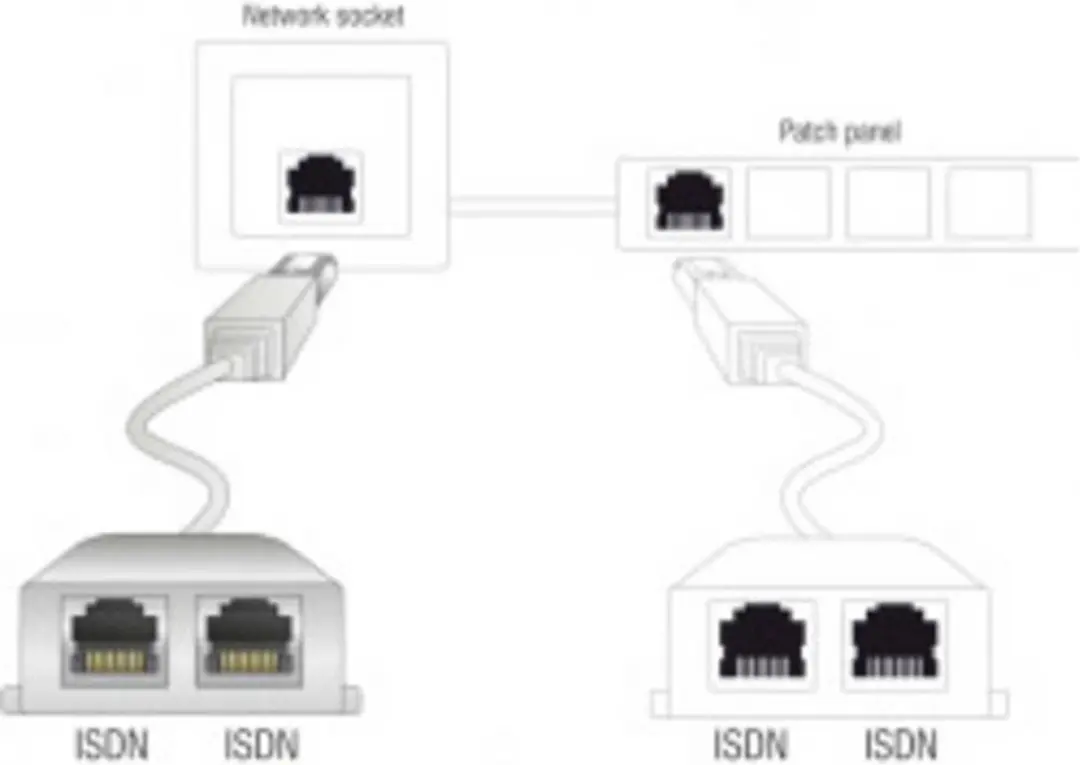 Delock RJ45 Port Doubler 65224 - Wit