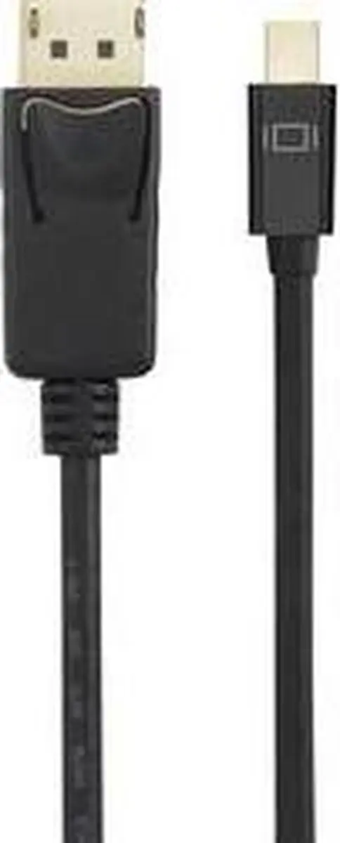 Renkforce RF-4538176 DisplayPort Adapterkabel