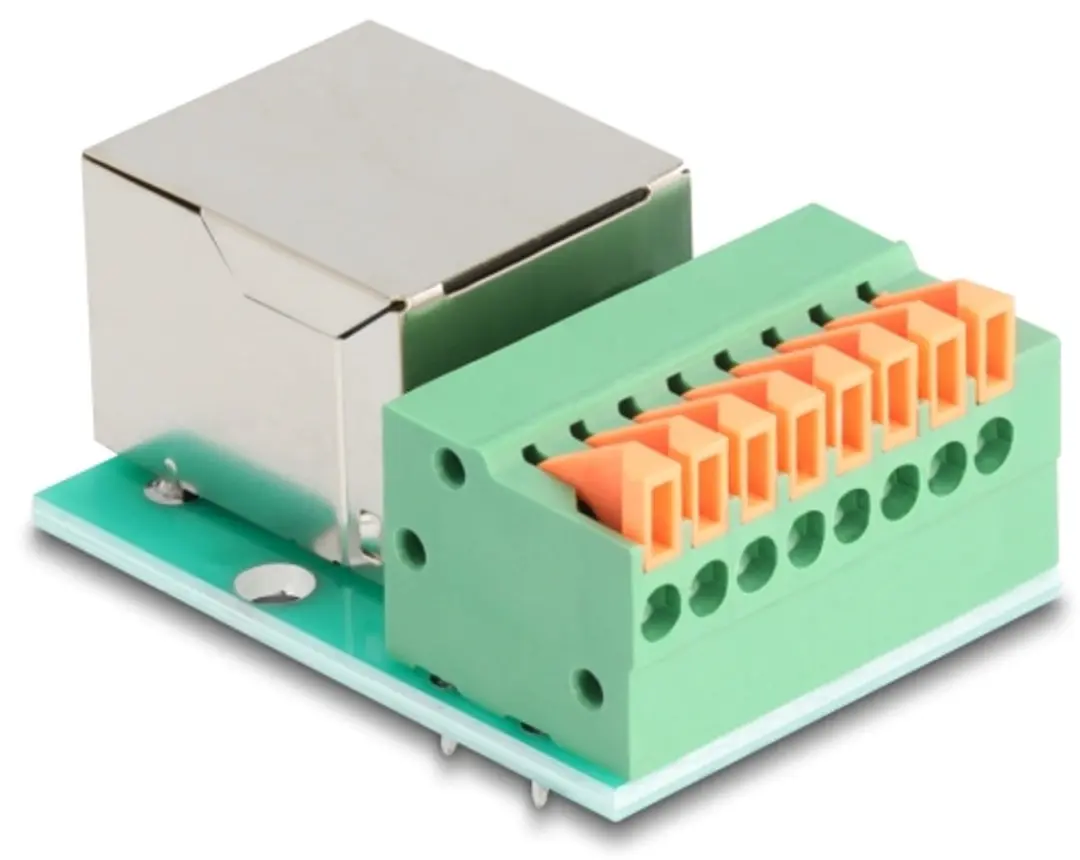 Delock RJ45 Vrouwelijk naar Terminal Block Cat.5e - Groen/Zilver