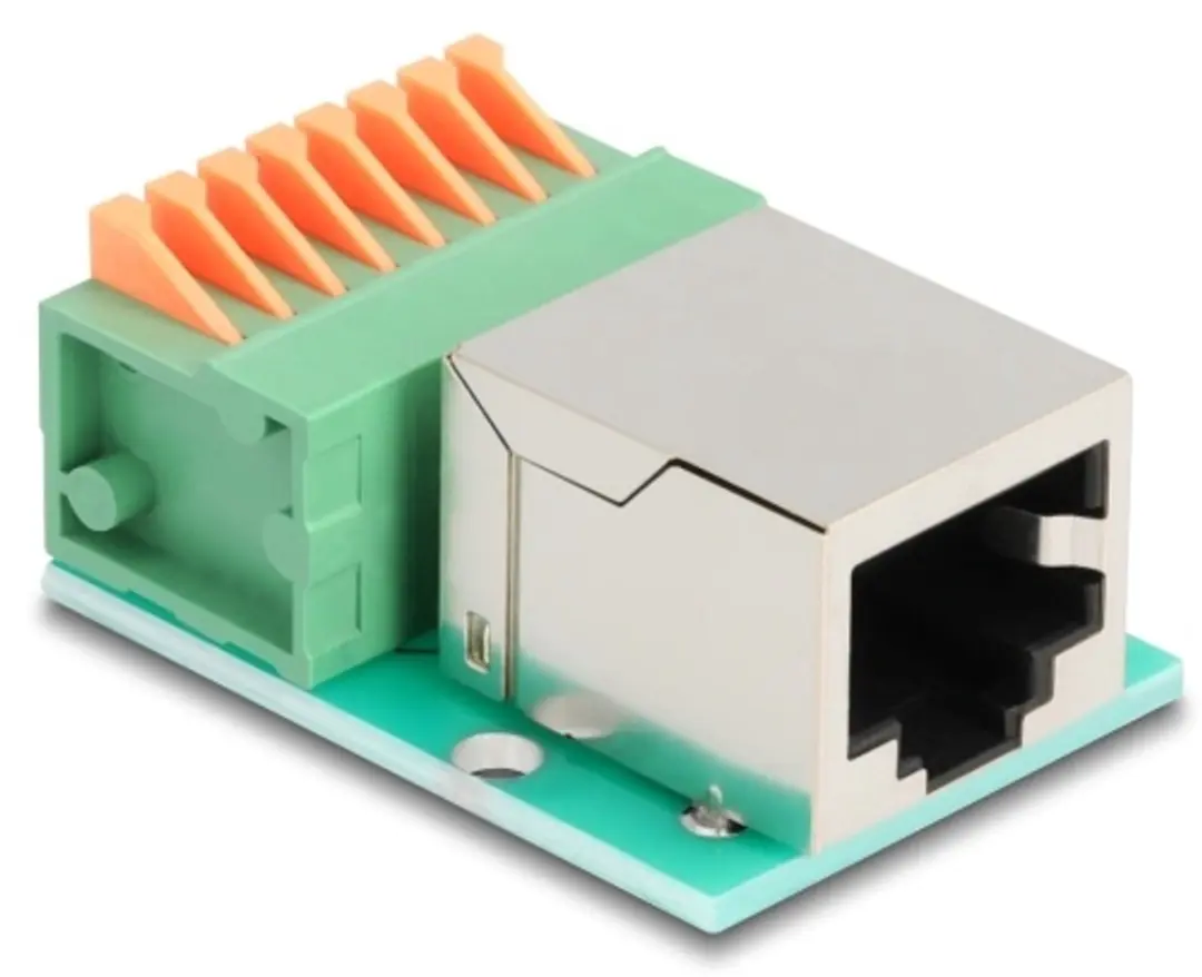Delock RJ45 Vrouwelijk naar Terminal Block Cat.5e