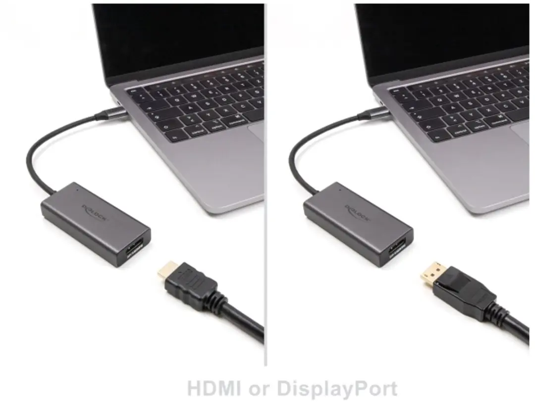 Delock USB-C Adapter HDMI/DisplayPort 8K - Grijs