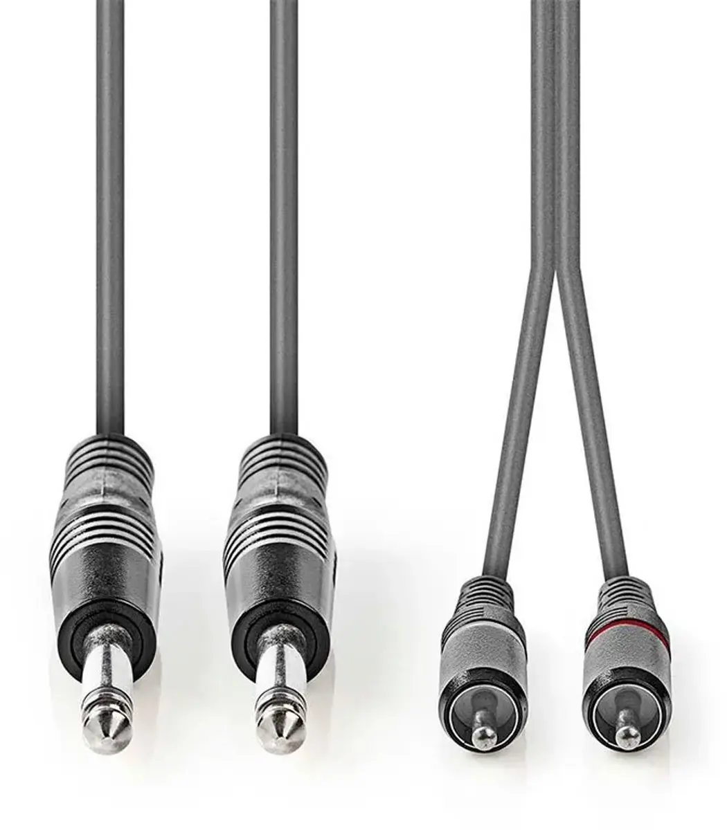 Nedis Stereo-Audiokabel 3m - 2x 6,35mm & RCA Male - Donkergrijs