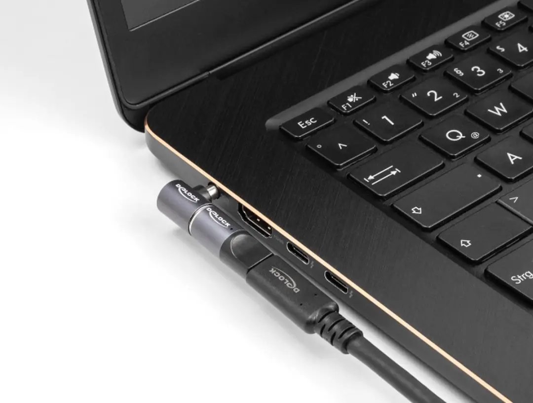 Delock Magnetische Connector 5,5x2,1mm - Notebook Laadadapter - Zwart