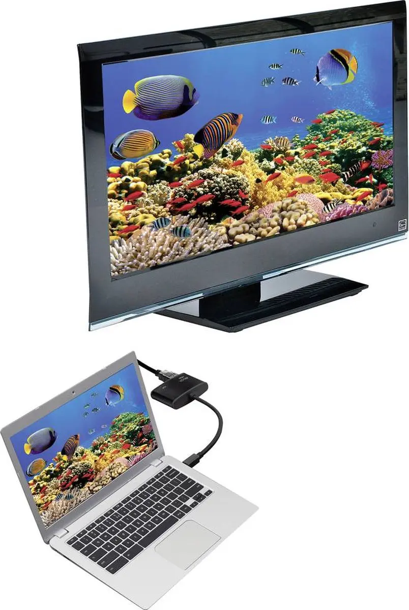 Renkforce RF-4210674 DisplayPort/HDMI/VGA Adapter - Zwart