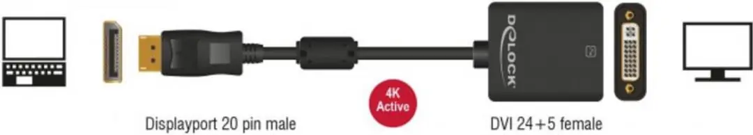 Delock DisplayPort naar DVI Actieve Adapter DP1.2 1920x1200 - 0,2m - Zwart