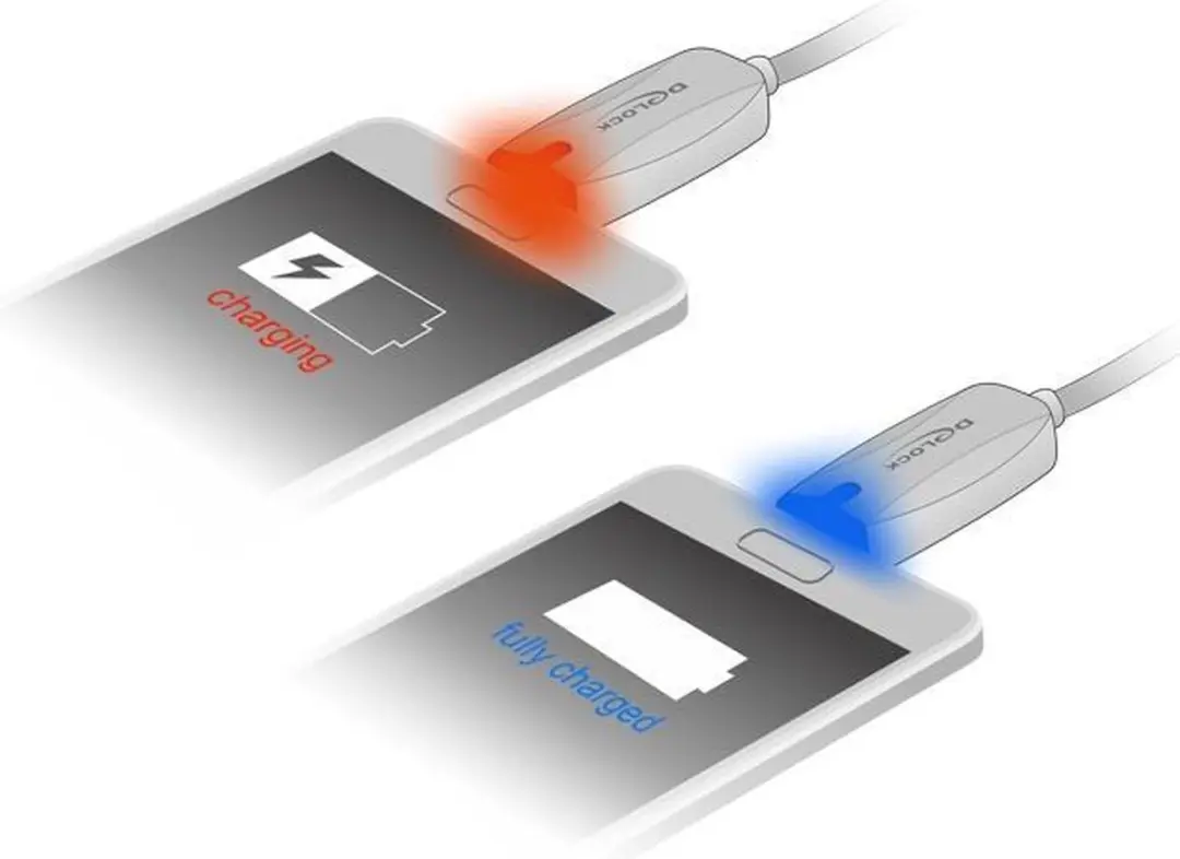 Delock USB 2.0 A Male naar Micro Male Kabel 1m - Zwart