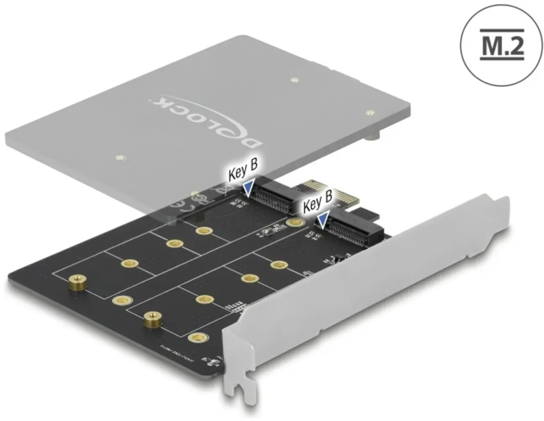 Delock PCIe x1 naar 2x M.2 Key B