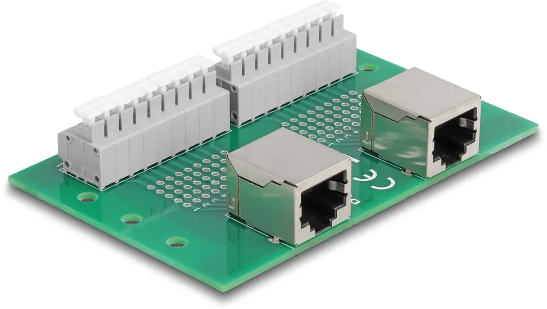 Delock RJ45 2x Terminal Block