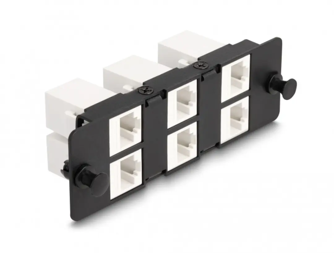 Delock Keystone Adapter 6 Poorten