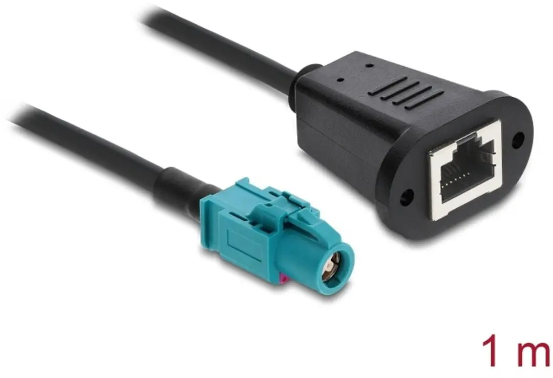 Delock HSD Vrouwelijk naar RJ45 Kabel 1m