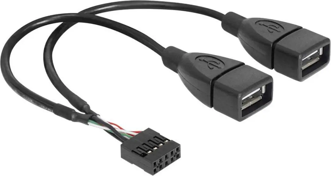 Delock USB 2.0 Kabel Pinheader Vrouwelijk naar 2x USB-A Vrouwelijk 20cm - Zwart
