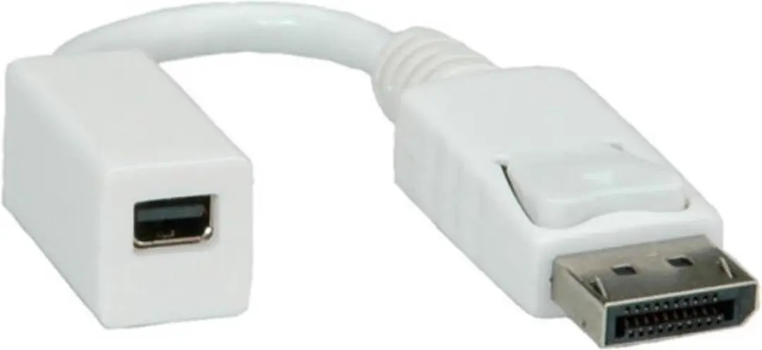 Roline DisplayPort naar Mini DisplayPort Adapter 0,15m