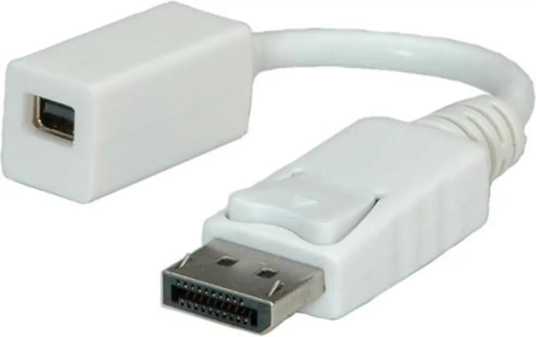 Roline DisplayPort naar Mini DisplayPort Adapter 0,15m - Wit