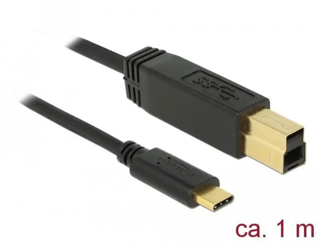 Delock USB-C naar USB-B Kabel 3.1 Gen 2 1m - Zwart