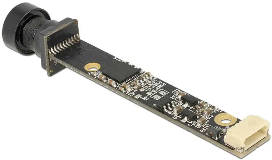 Delock USB 2.0 Camera Module 96382