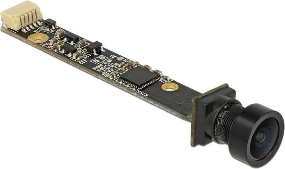 Delock USB 2.0 Camera Module 96382 - 5MP - 80° - Meerkleurig