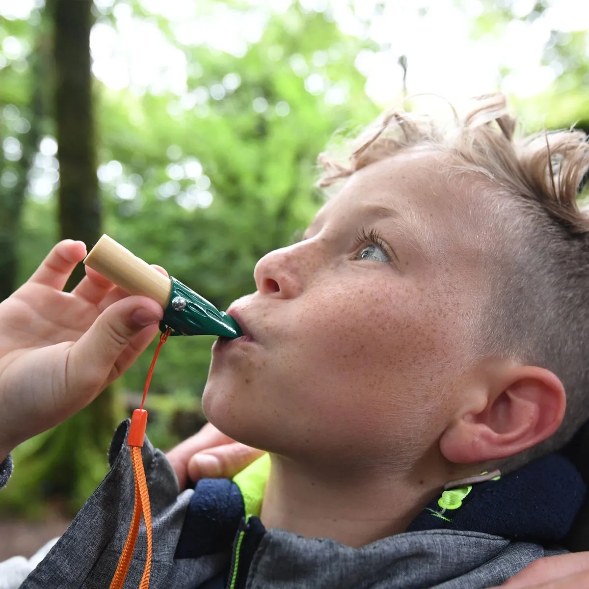 Hape Naturdetektiv-Set - Veelkleurig