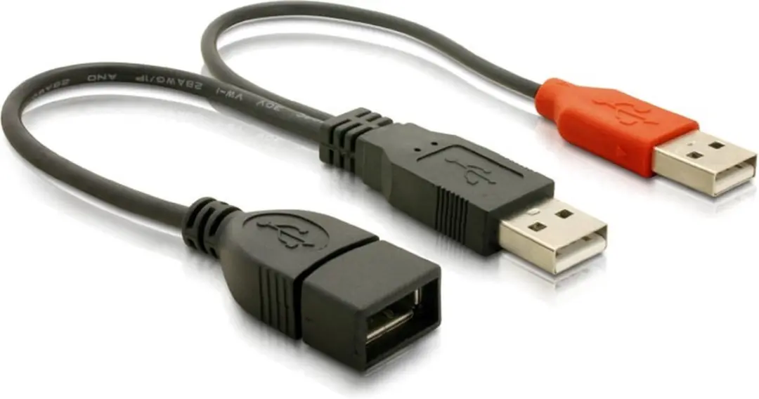 Delock USB 2.0 Y Kabel 0,2m